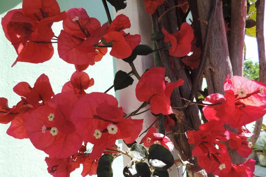 Bliss Boho House Vila Sintra Exterior foto
